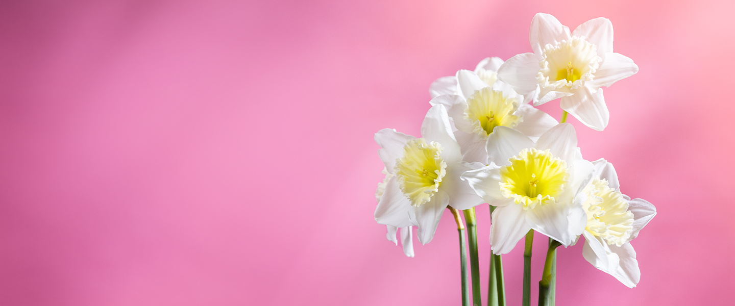 Easter flowers