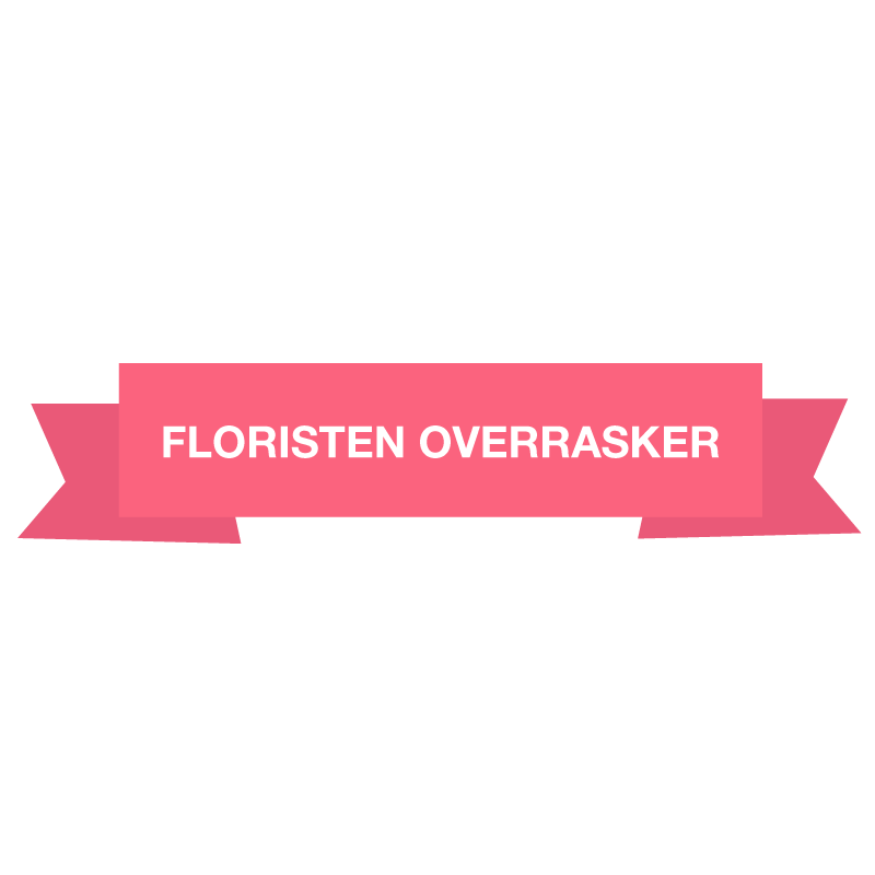 FloristFias julestjerner_overlay