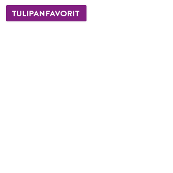 Lyserøde tulipaner_overlay