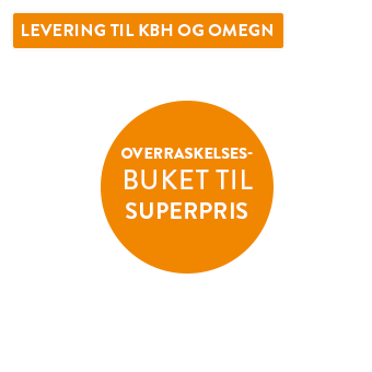 Farverige blomster_overlay