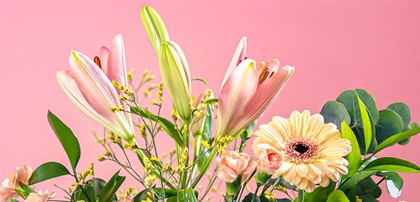 Forårsblomster