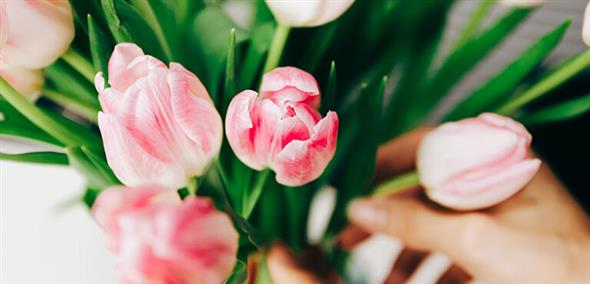 Forårsblomster