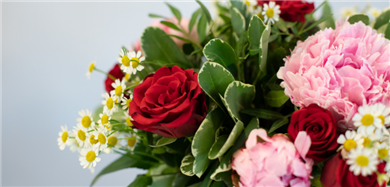 Livraison de fleurs gratuite euroflorist france