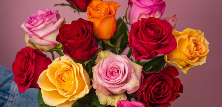 livraison de bouquets de roses france euroflorist