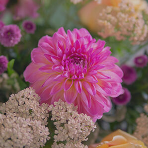 screen-reasons_monthly-bouquet-august_298x2980.jpg_overlay