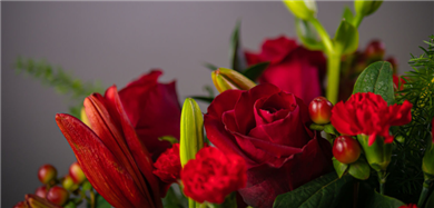 Kerstbloemen