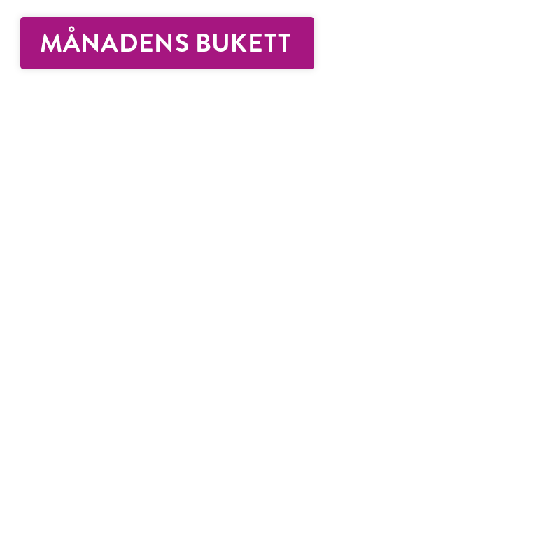 Marsbuketten_overlay
