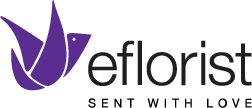Eflorist Logo                                                                                                                                                                                                                                                                                                                                                                                                   