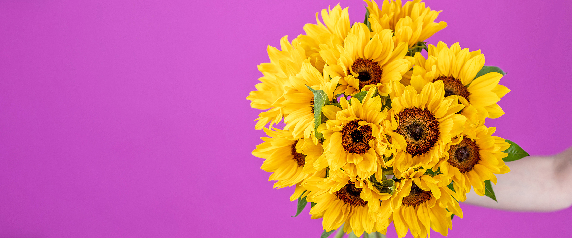 Eflorist Flowers Delivery Send Flowers Online